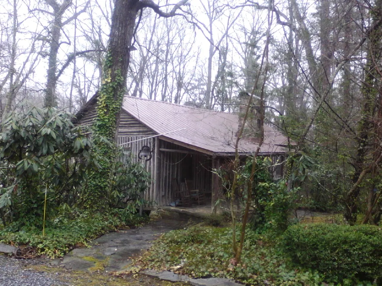 Weathered metal roof on an old board sided cabin in the woods in Matthews